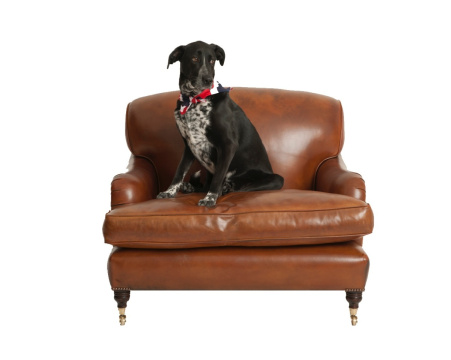 The Snuggler Lansdown Chair in Leather